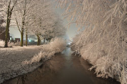 Winter amsterdam