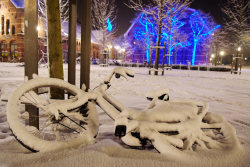 Snow & Bicycles Westerpark